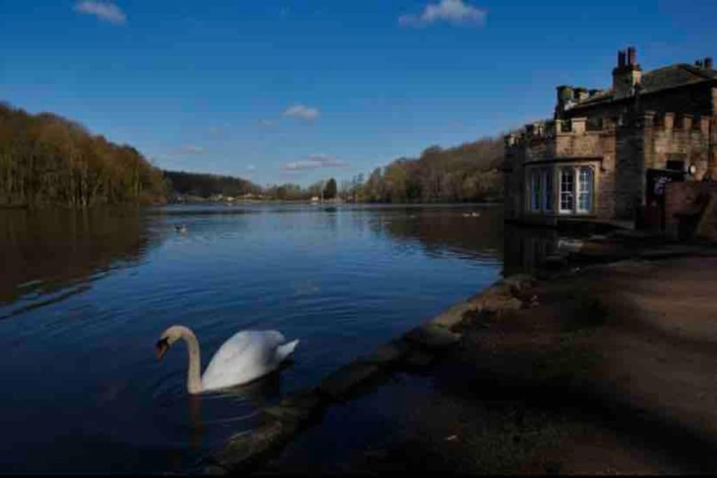 Millstone Cottage Newmillerdam Hill Top Exterior foto